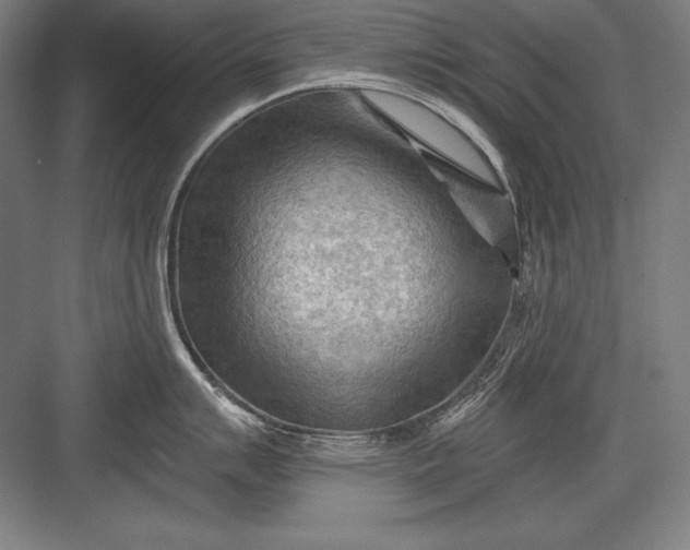 X0000082961007200702152301