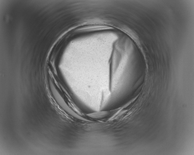 X0000082961008200702152301