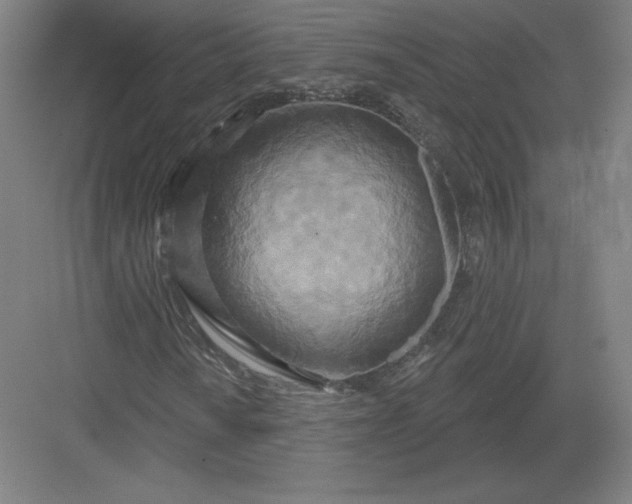 X0000082961010200702152300