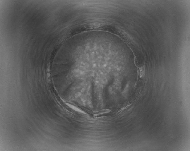 X0000082961011200702152300