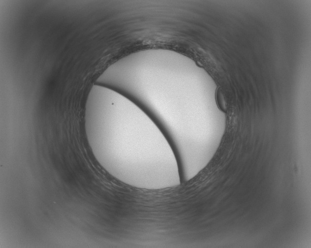 X0000082961012200702152300