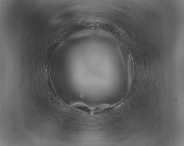 X0000082961013200702152300