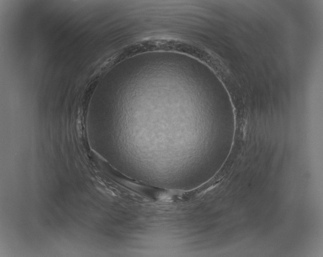 X0000082961014200702152300