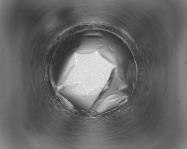 X0000082961016200702152300