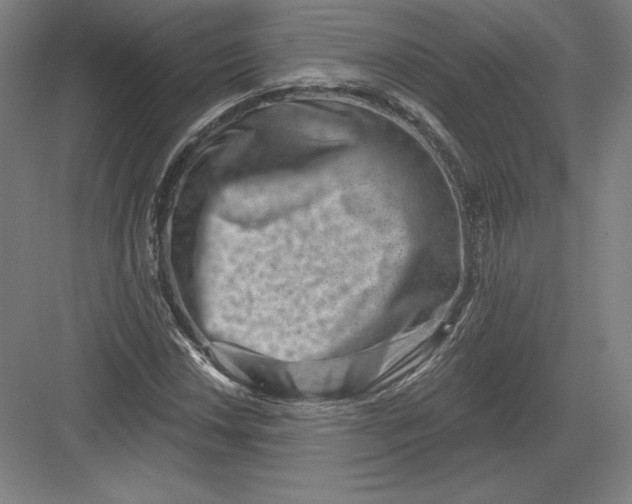 X0000082961018200702152300