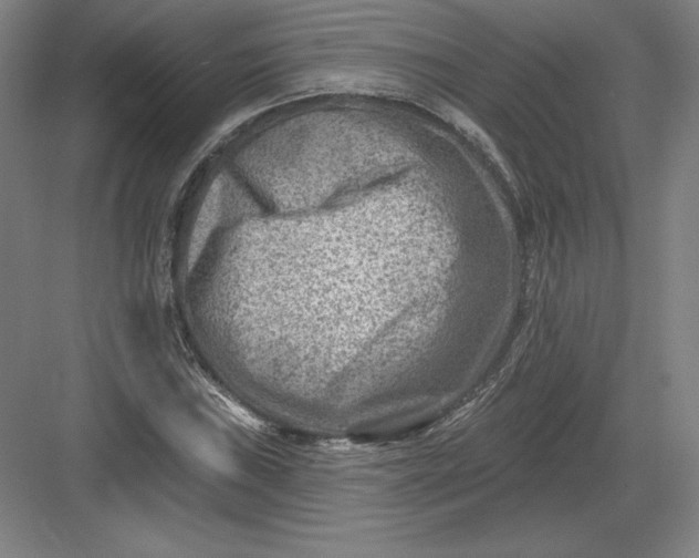 X0000082961019200702152300