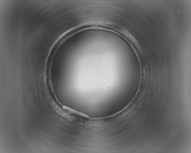 X0000082961020200702152300