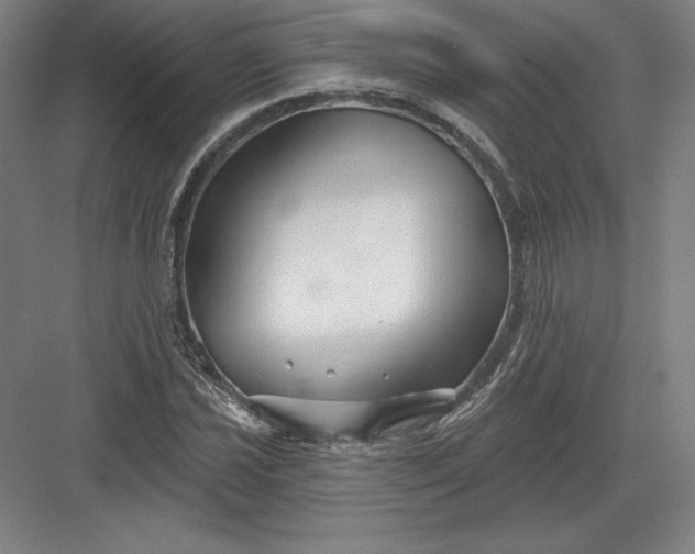 X0000082961021200702152300