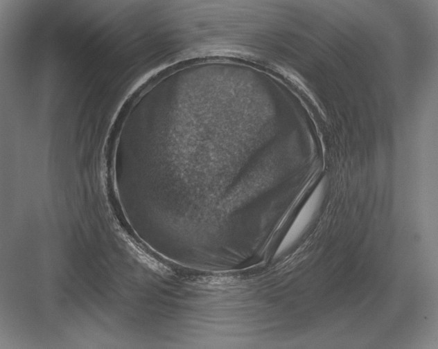 X0000082961024200702152300