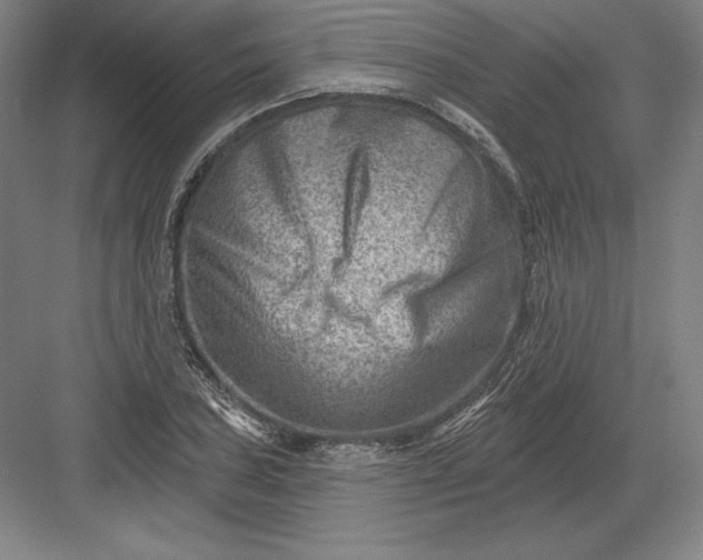 X0000082961027200702152300