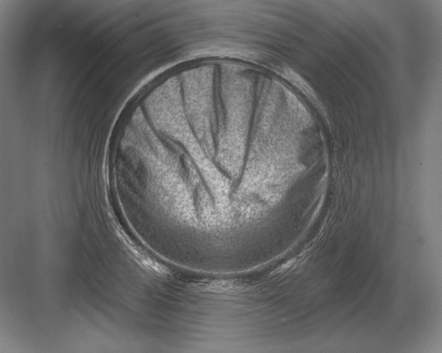 X0000082961028200702152300