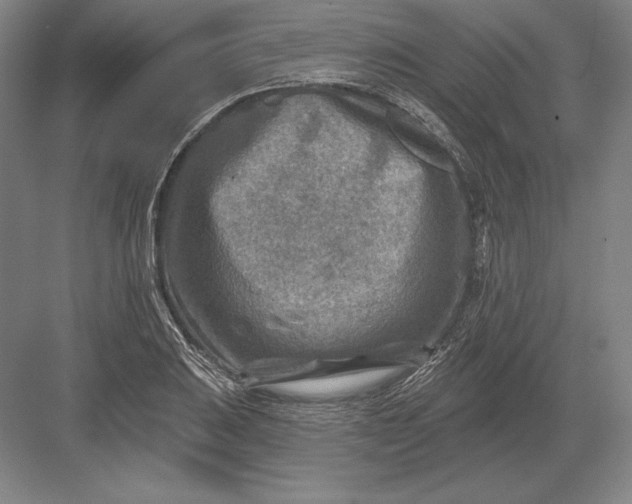 X0000082961031200702152300