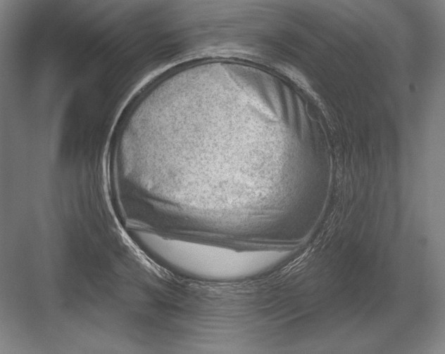 X0000082961032200702152300