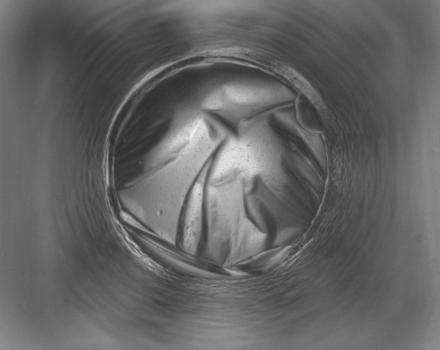 X0000082961036200702152300