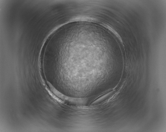 X0000082961037200702152300