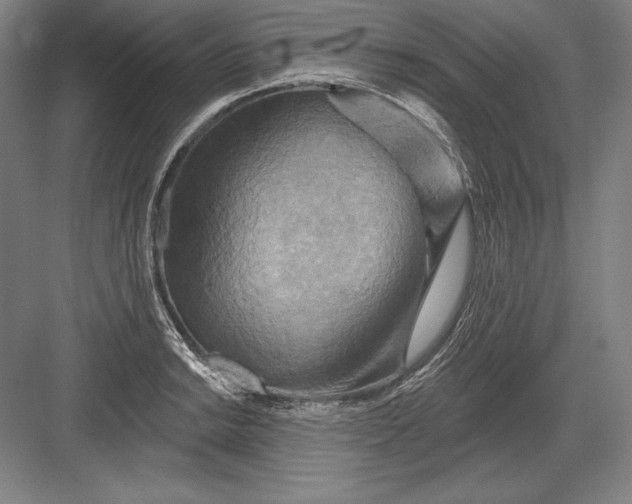 X0000082961038200702152300