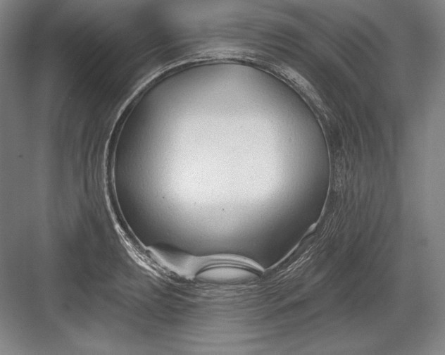 X0000082961039200702152300