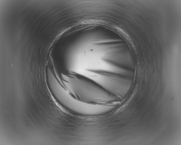 X0000082961041200702152300