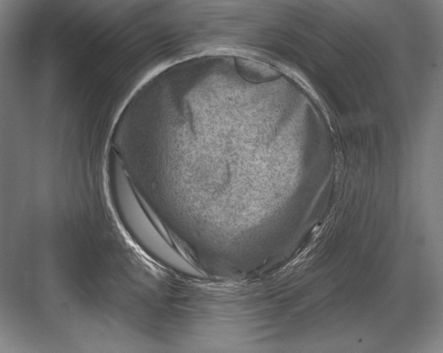 X0000082961048200702152301