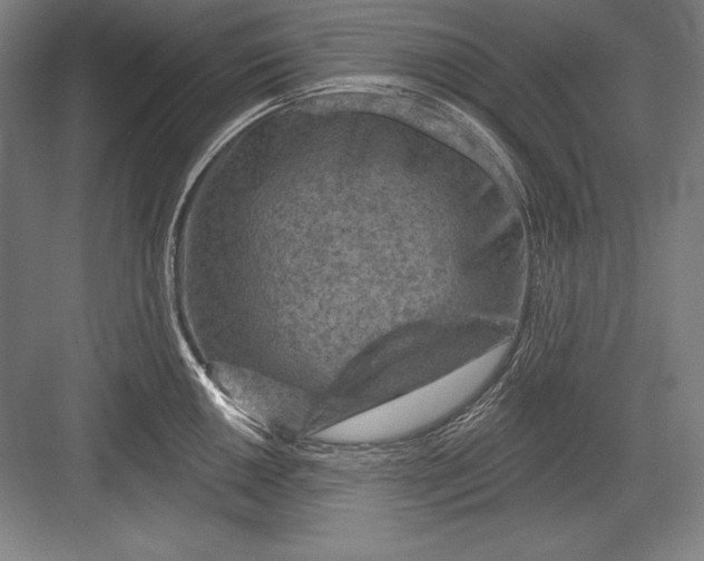 X0000082961050200702152301