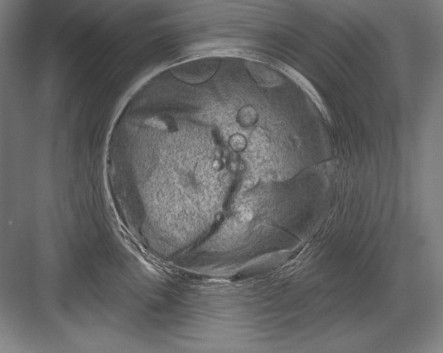 X0000082961051200702152301