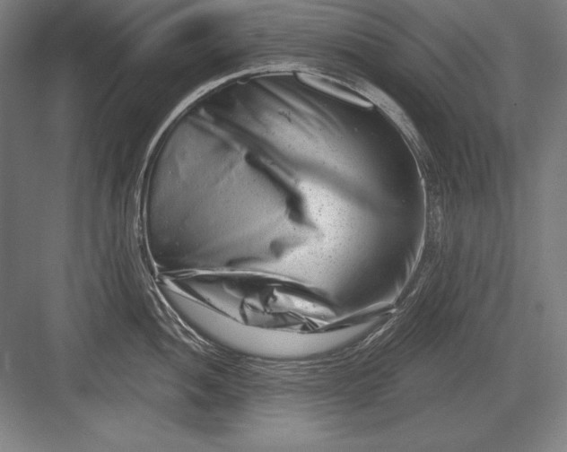 X0000082961052200702152301