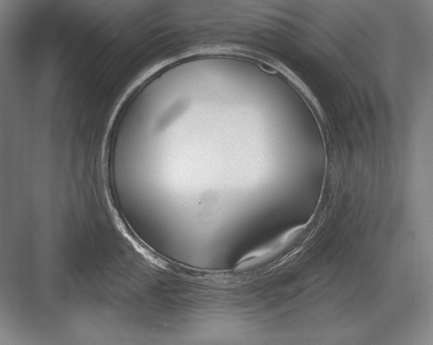 X0000082961053200702152301