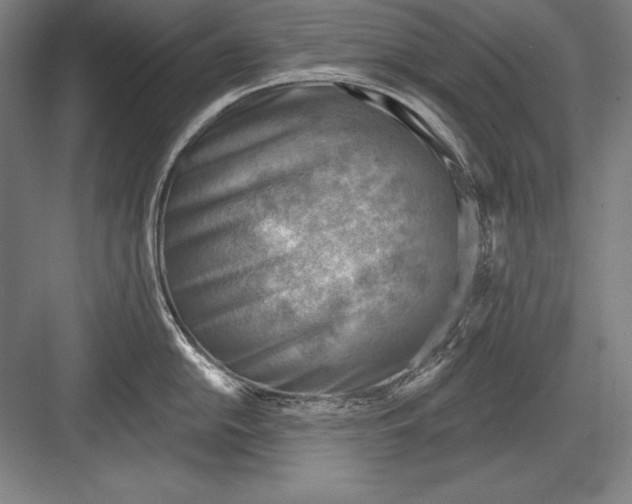 X0000082961054200702152301