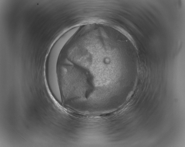 X0000082961055200702152301