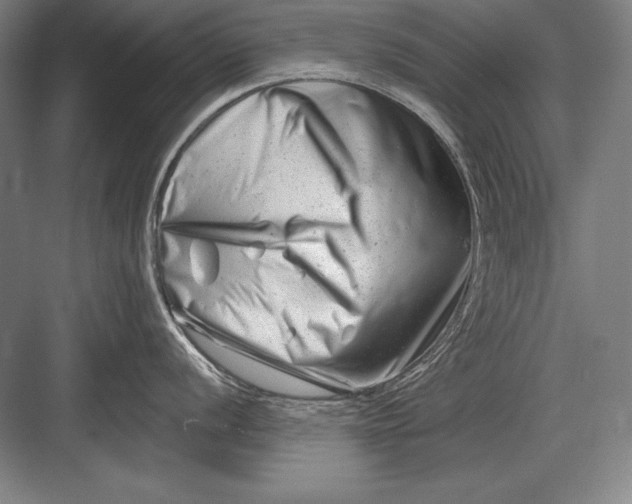 X0000082961056200702152301