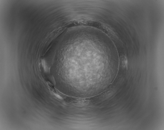 X0000082961060200702152300