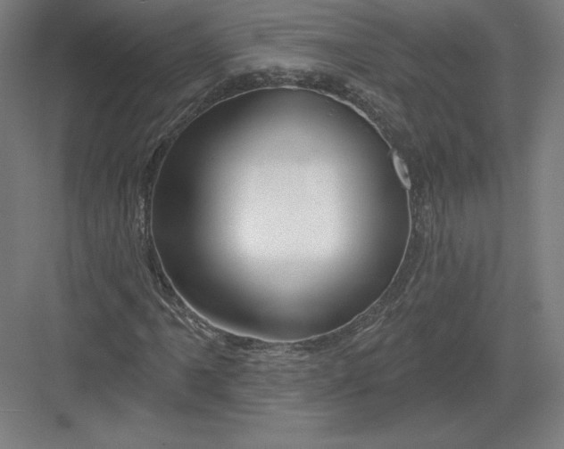 X0000082961061200702152300