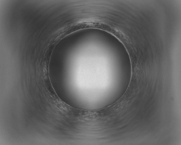 X0000082961062200702152300