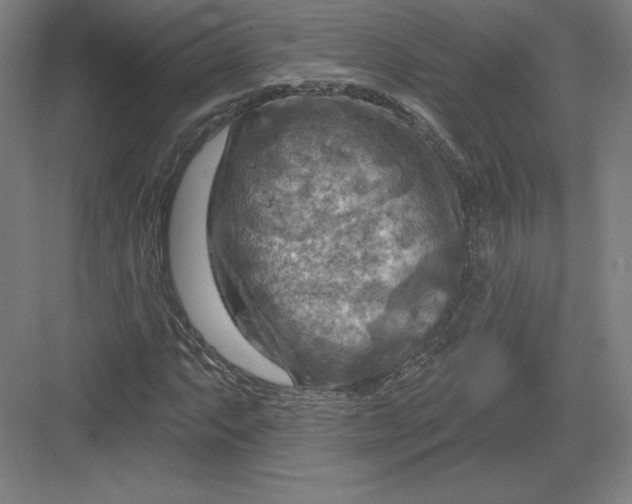 X0000082961063200702152300