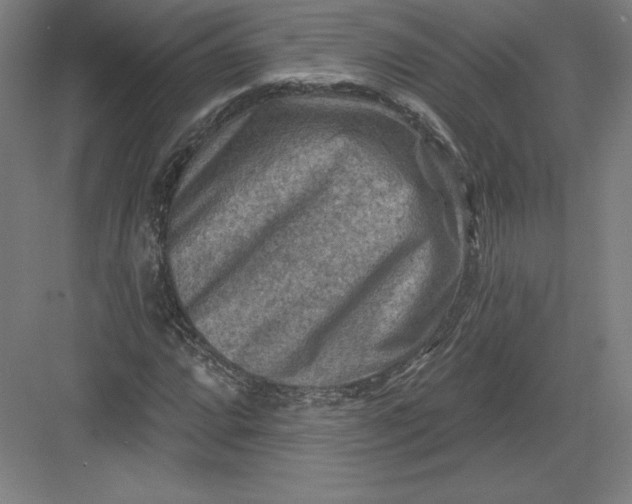 X0000082961064200702152300