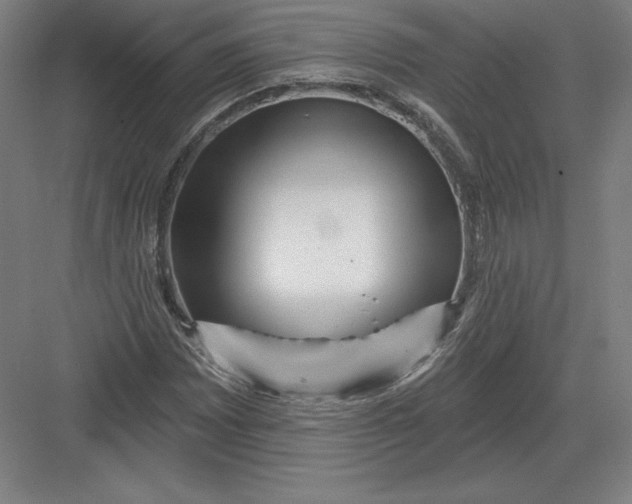 X0000082961065200702152300