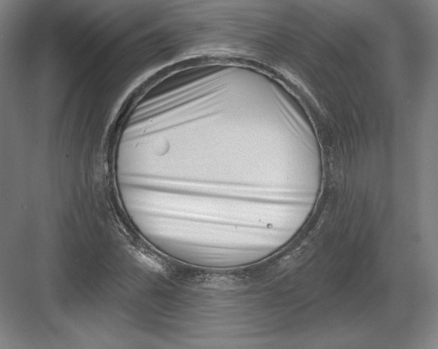 X0000082961070200702152300