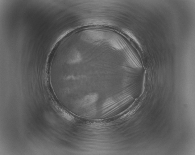 X0000082961071200702152300