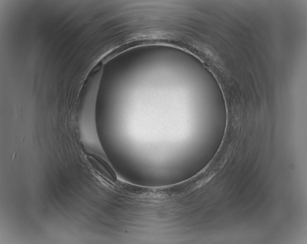 X0000082961073200702152300