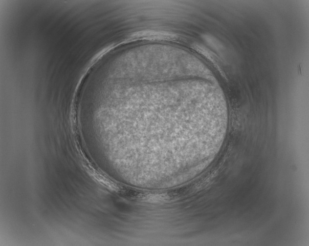 X0000082961074200702152300