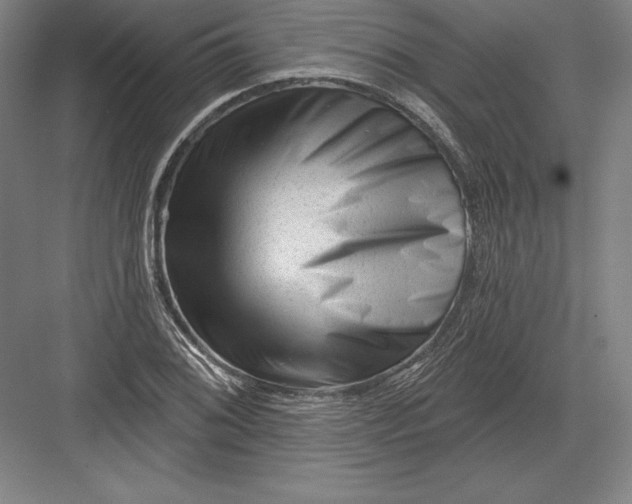 X0000082961076200702152300