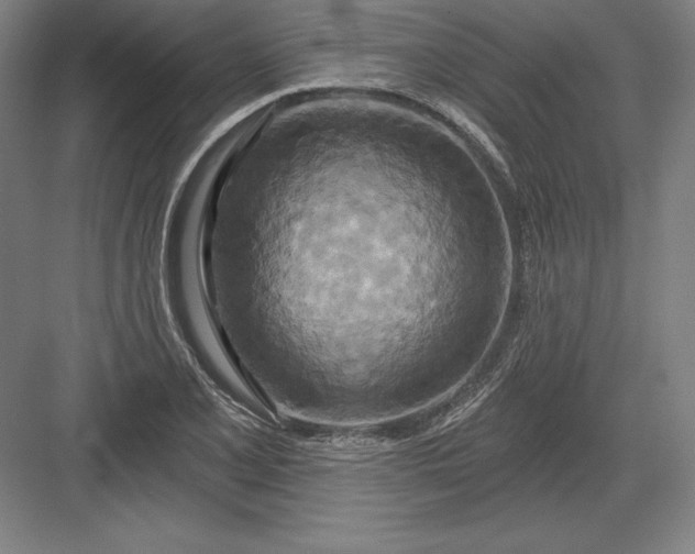 X0000082961077200702152300