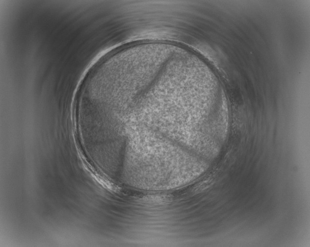 X0000082961078200702152300