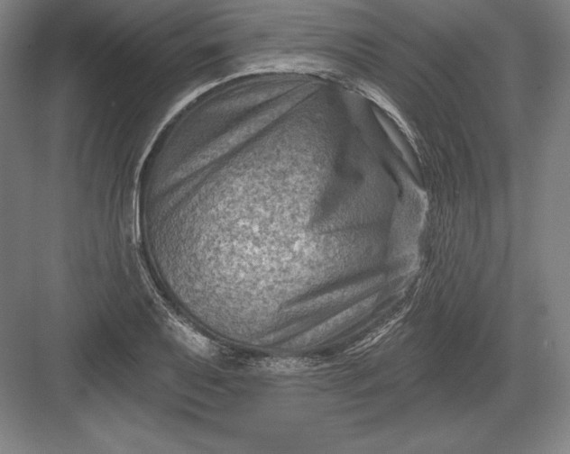 X0000082961079200702152259