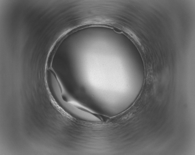 X0000082961080200702152259