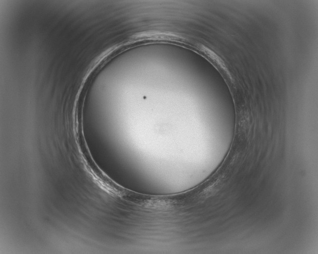 X0000082961082200702152259