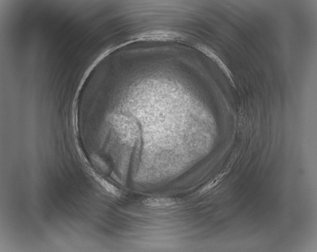 X0000082961083200702152259