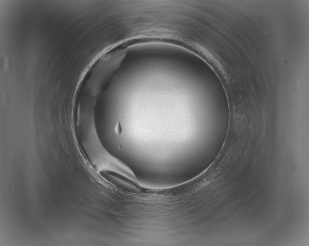 X0000082961085200702152259