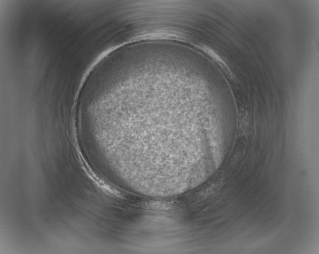 X0000082961086200702152259