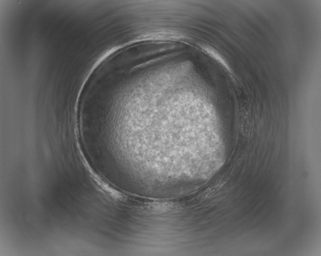 X0000082961087200702152259